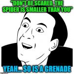 You Don't Say | "DON'T BE SCARED, THE SPIDER IS SMALLER THAN YOU"; YEAH... SO IS A GRENADE | image tagged in you don't say,spider,scared | made w/ Imgflip meme maker