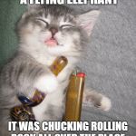 Getting the high, cows in the sky. | BRUH, I JUST SAW A FLYING ELEPHANT; IT WAS CHUCKING ROLLING ROCK ALL OVER THE PLACE, WHILE SINGING IN RAINBOWS | image tagged in weed cat | made w/ Imgflip meme maker