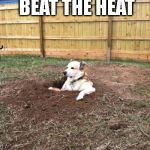 No Regret Dog | FINDS WAY TO BEAT THE HEAT; HAS NO REGRETS | image tagged in no regret dog | made w/ Imgflip meme maker