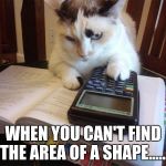 Math cat | WHEN YOU CAN'T FIND THE AREA OF A SHAPE...... | image tagged in math cat | made w/ Imgflip meme maker
