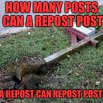 please repost | HOW MANY POSTS CAN A REPOST POST; IF A REPOST CAN REPOST POSTS? | image tagged in please repost | made w/ Imgflip meme maker