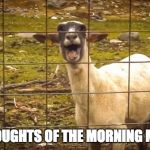 Screaming goat | FIRST THOUGHTS OF THE MORNING MEETING.... | image tagged in screaming goat | made w/ Imgflip meme maker