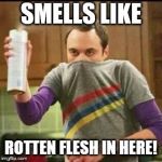 big bang | SMELLS LIKE; ROTTEN FLESH IN HERE! | image tagged in big bang | made w/ Imgflip meme maker