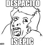Despacito fans in a nutshell | DESPACITO; IS EPIC | image tagged in genius,despacito | made w/ Imgflip meme maker