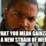 Weed | WHAT YOU MEAN GAINZZZ, THAT A NEW STRAIN OF WEED??? | image tagged in weed | made w/ Imgflip meme maker
