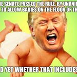 Cry baby Trump | SO THE SENATE PASSED THE RULE, BY UNANIMOUS CONSENT, TO ALLOW BABIES ON THE FLOOR OF THE SENATE. NO WORD YET WHETHER THAT INCLUDES TRUMP | image tagged in cry baby trump | made w/ Imgflip meme maker