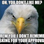 American Bald Eagle | OH, YOU DON'T LIKE ME? SCREW YOU, I DON'T REMEMBER ASKING FOR YOUR APPROVAL! | image tagged in american bald eagle | made w/ Imgflip meme maker