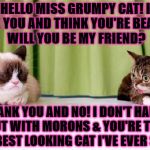 GRUMPY AND LIL BUB | HELLO MISS GRUMPY CAT! I ADMIRE YOU AND THINK YOU'RE BEAUTIFUL! WILL YOU BE MY FRIEND? THANK YOU AND NO! I DON'T HANG OUT WITH MORONS & YOU'RE THE DUMBEST LOOKING CAT I'VE EVER SEEN! | image tagged in grumpy and lil bub | made w/ Imgflip meme maker