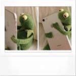 Kermit phone hug meme