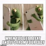 Kermit phone hug | WHEN YOU GET A TEXT AND IT'S FROM YOUR LADY | image tagged in kermit phone hug | made w/ Imgflip meme maker