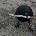 Knife crow