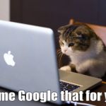 kitten at laptop | Let me Google that for you. | image tagged in kitten at laptop | made w/ Imgflip meme maker
