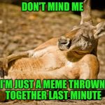 It's been a busy day | DON'T MIND ME; I'M JUST A MEME THROWN TOGETHER LAST MINUTE | image tagged in relaxed dude | made w/ Imgflip meme maker