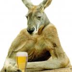 Breakup Party kangaroo