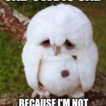 Sad Owl | SAD OWL IS SAD; BECAUSE I'M NOT SOLD ON AMAZON | image tagged in sad owl,sad owl memes,funny memes | made w/ Imgflip meme maker