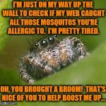 He's just looking out for you. | I'M JUST ON MY WAY UP THE WALL TO CHECK IF MY WEB CAUGHT ALL THOSE MOSQUITOS YOU'RE ALLERGIC TO.  I'M PRETTY TIRED. OH, YOU BROUGHT A BROOM!  THAT'S NICE OF YOU TO HELP BOOST ME UP... | image tagged in misunderstood spider,memes,broom,mosquito | made w/ Imgflip meme maker