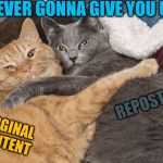 Together forever, and never to part, together forever we two... | NEVER GONNA GIVE YOU UP! REPOSTS; ORIGINAL CONTENT | image tagged in two cats hugging,memes | made w/ Imgflip meme maker