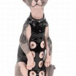 BONDAGE CAT | HEY MAN! YOU LIKE MY TITS AND MY TATS? | image tagged in bondage cat | made w/ Imgflip meme maker