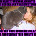 AGGRESSIVE CAT | HUMAN? I LET YOU KNOW 5 MINUTES AGO I WAS HUNGRY AND WHAT HAVE YOU DONE? GET OFF YOUR WORTHLESS LAZY BUTT AND FEED ME THIS MINUTE SLAVE! | image tagged in aggressive cat | made w/ Imgflip meme maker