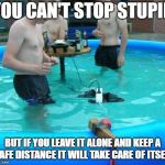 If you're gonna be stupid | YOU CAN'T STOP STUPID; BUT IF YOU LEAVE IT ALONE AND KEEP A SAFE DISTANCE IT WILL TAKE CARE OF ITSELF | image tagged in if you're gonna be stupid | made w/ Imgflip meme maker