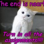 The end | The end is near!!! Turn in all the assignments!!!! | image tagged in the end | made w/ Imgflip meme maker