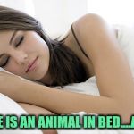 sleeping woman | MY WIFE IS AN ANIMAL IN BED....A SLOTH. | image tagged in sleeping woman,wife,funny,memes,sloth,funny memes | made w/ Imgflip meme maker