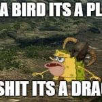 Spongegar Skyrim | ITS A BIRD ITS A PLANE; OH SHIT ITS A DRAGON | image tagged in spongegar skyrim | made w/ Imgflip meme maker