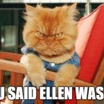 mad cat | YOU SAID ELLEN WAS ON | image tagged in mad cat | made w/ Imgflip meme maker