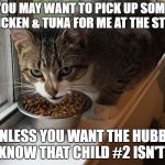Blackmail Cat knows all...  | YOU MAY WANT TO PICK UP SOME CHICKEN & TUNA FOR ME AT THE STORE; UNLESS YOU WANT THE HUBBY TO KNOW THAT CHILD #2 ISN'T HIS | image tagged in blackmail cat,chicken,tuna,child 2,milkman | made w/ Imgflip meme maker