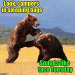People in sleeping bags are soft tacos in bear country | Look, campers in sleeping bags; Sounds like taco Tuesday | image tagged in memes,bears,taco,taco tuesday,camper | made w/ Imgflip meme maker