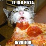 Pizza Cat | IT IS A PIZZA; INVATION | image tagged in pizza cat | made w/ Imgflip meme maker