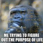 Thinking Math Ape | ME TRYING TO FIGURE OUT THE PURPOSE OF LIFE | image tagged in thinking math ape | made w/ Imgflip meme maker