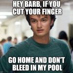 Steve Stranger Things | HEY BARB, IF YOU CUT YOUR FINGER; GO HOME AND DON'T BLEED IN MY POOL | image tagged in steve stranger things,memes,stranger things,pool | made w/ Imgflip meme maker