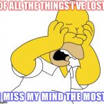 Homer upset | OF ALL THE THINGS I’VE LOST; I MISS MY MIND THE MOST | image tagged in homer upset | made w/ Imgflip meme maker