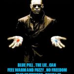 Blue Pill Red Pill | RED PILL , RAW TRUTH ,CAN BE PAINFUL , BUT YOU WILL BE FREE & HAPPINESS IS POSSIBLE! BLUE PILL , THE LIE , CAN FEEL WARM AND FUZZY , NO FREEDOM ,  FAKE HAPPINESS , DENIAL !!! | image tagged in blue pill red pill | made w/ Imgflip meme maker