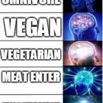 Meme Material | OMNIVORE; VEGAN; VEGETARIAN; MEAT ENTER; VEGAN MEAT BURGER | image tagged in meme material | made w/ Imgflip meme maker