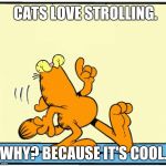 Strolling Garfield | CATS LOVE STROLLING. WHY?
BECAUSE IT'S COOL. | image tagged in strolling garfield | made w/ Imgflip meme maker