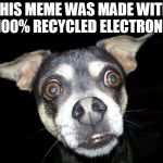 Recycle memes...and their electrons | THIS MEME WAS MADE WITH 100% RECYCLED ELECTRONS | image tagged in recycle,memes,dogs,recycling | made w/ Imgflip meme maker