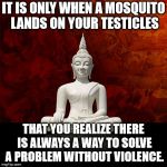 Budda | IT IS ONLY WHEN A MOSQUITO LANDS ON YOUR TESTICLES; THAT YOU REALIZE THERE IS ALWAYS A WAY TO SOLVE A PROBLEM WITHOUT VIOLENCE. | image tagged in budda | made w/ Imgflip meme maker