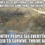 Creek  | PROGRESSIVES SEE SCARY THINGS THAT SWIM, CRAWL AND FLY, CONSERVATIVES SEE SOMETHING THAT NEEDS PROTECTION. COUNTRY PEOPLE SEE EVERYTHING THEY NEED TO SURVIVE, THRIVE AND REST | image tagged in creek | made w/ Imgflip meme maker