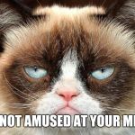 Grumpy Cat Not Amused Meme Generator - Imgflip