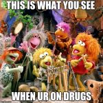 fraggle rock | THIS IS WHAT YOU SEE; WHEN UR ON DRUGS | image tagged in fraggle rock | made w/ Imgflip meme maker