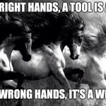 All In The Hands | IN THE RIGHT HANDS, A TOOL IS A TOOL. IN THE WRONG HANDS, IT'S A WEAPON. | image tagged in horses | made w/ Imgflip meme maker