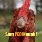 We also like Rob Marshall, since he directed CHICago. (＾▿＾) | Who's a chicken's favorite movie director? PECK; Sam PECKinpah! | image tagged in bad pun chicken,memes,bad pun,movie,director,the wild bunch | made w/ Imgflip meme maker