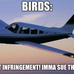 Small Plane | BIRDS:; "COPYRIGHT INFRINGEMENT! IMMA SUE THE HUMANS!" | image tagged in small plane | made w/ Imgflip meme maker