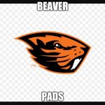 Beavers suck | BEAVER; PADS | image tagged in beavers suck | made w/ Imgflip meme maker