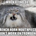 weird cat with weird face | WHEN U FIND OUT; FRENCH HORN MOUTHPIECES DON’T WORK ON TROMBONE | image tagged in weird cat with weird face | made w/ Imgflip meme maker