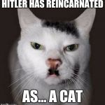 Nazi Cat | HITLER HAS REINCARNATED; AS... A CAT | image tagged in nazi cat | made w/ Imgflip meme maker