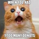 Have A Cat Meme! | WHEN YOU HAD; 1 TOO MANY DONUTS | image tagged in have a cat meme | made w/ Imgflip meme maker
