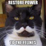 Stalin cat | RESTORE POWER; TO THE FELINES | image tagged in stalin cat | made w/ Imgflip meme maker